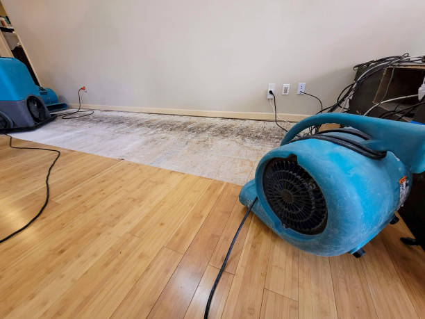 Professional Water Removal technician working in Endicott, NY